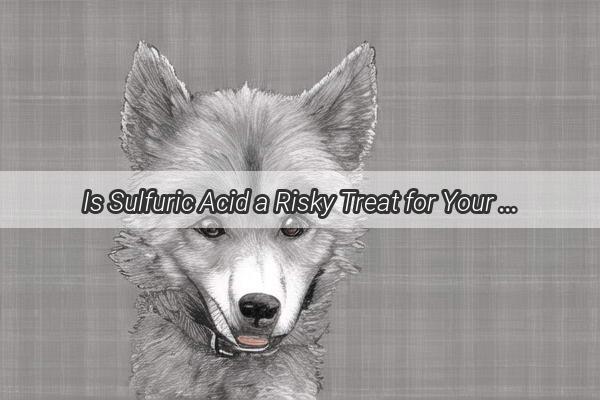 Is Sulfuric Acid a Risky Treat for Your Furry Friend The Truth Unveiled